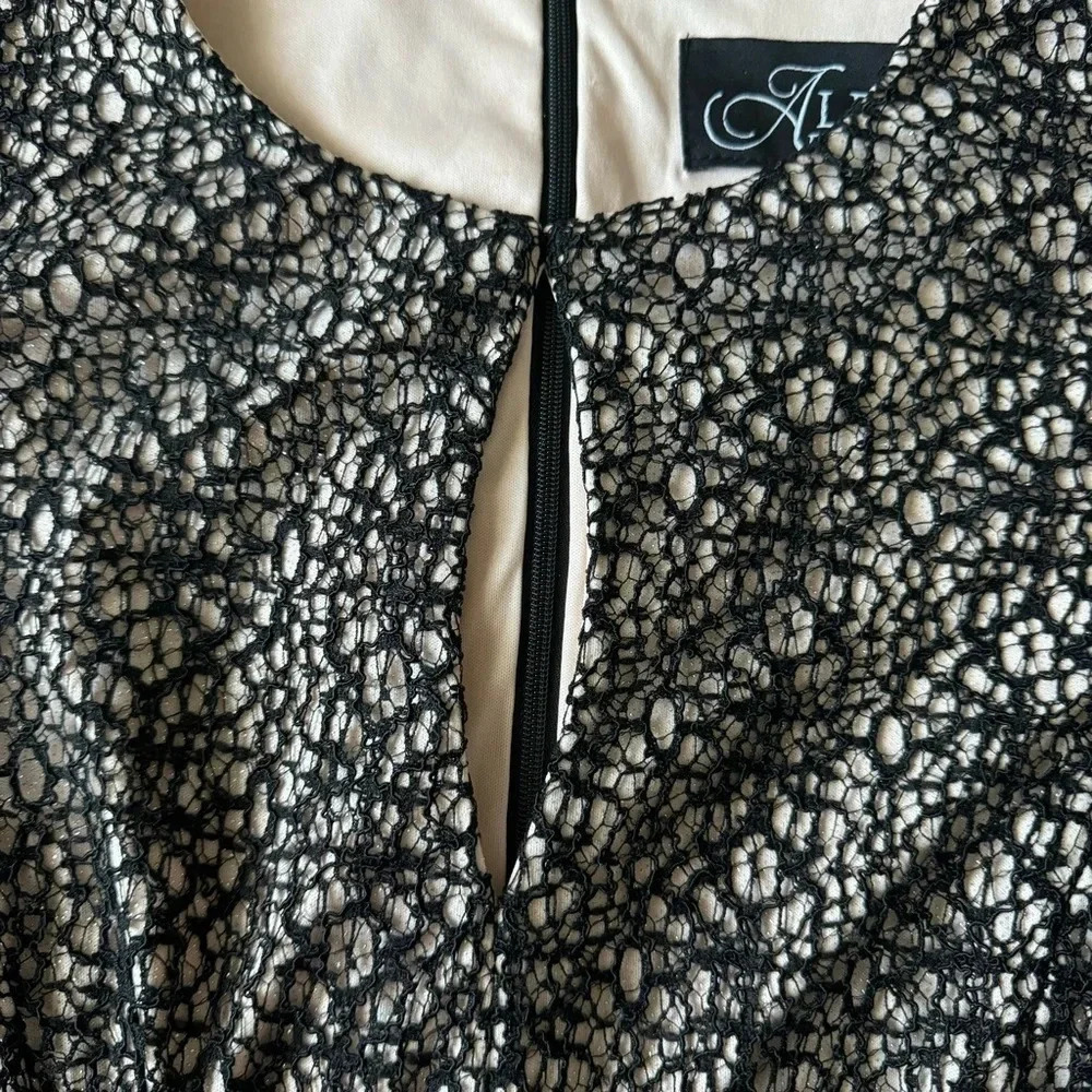 Alex Evenings All Over Lace A-Line Gown Dress Black Nude Size 14 - Picture 11 of 11